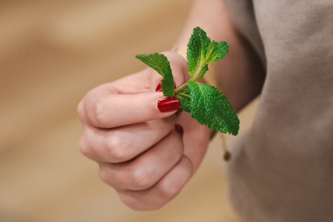 Fresh mint leaves held in hand — a symbol of natural fresh breath
