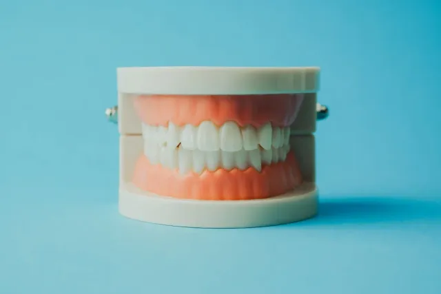 Comparison of dental implants and dentures models at Peninsula Dentistry in Huntington Beach